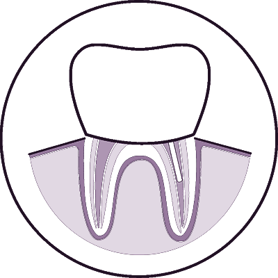 root canal model icon